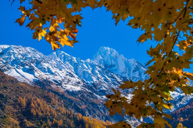 Paysage des Alpes françaises en automne