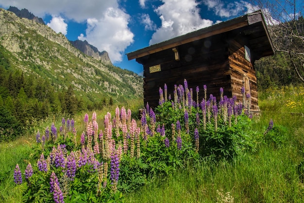 Paysage des Alpes françaises