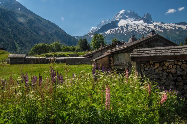 Paysage des Alpes françaises