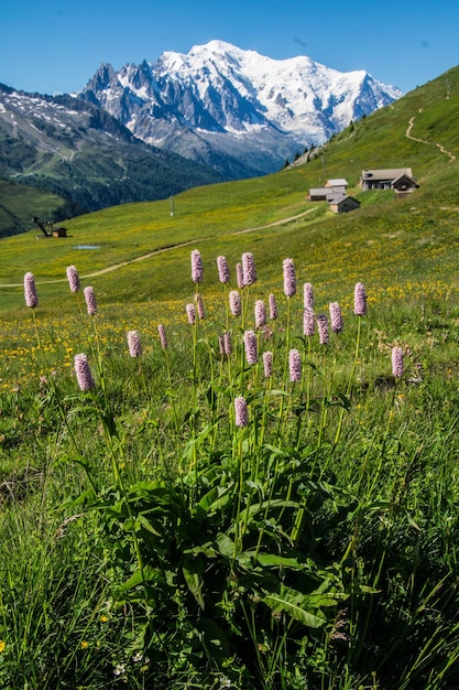 Paysage des Alpes françaises