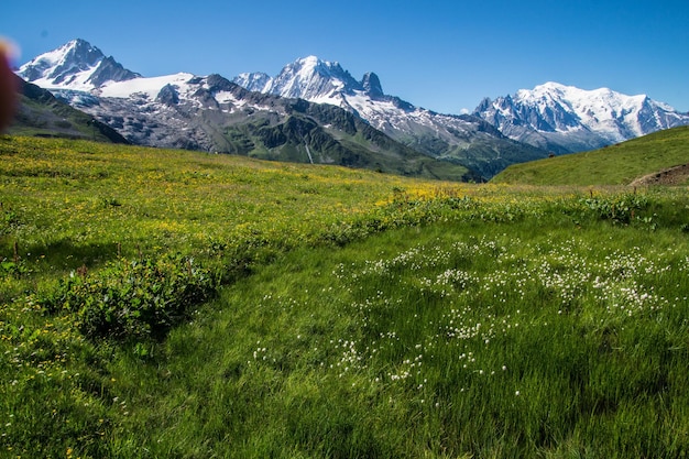 Paysage des Alpes françaises