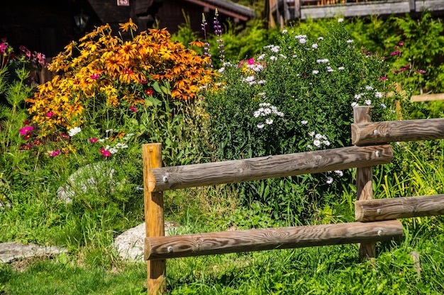 Paysage des Alpes françaises