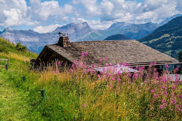 Paysage des Alpes en France en été