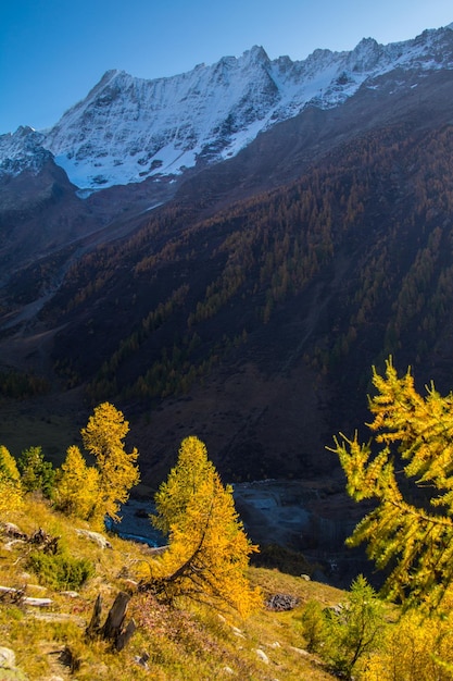 Paysage des Alpes suisses en automne