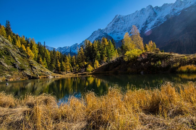 Paysage des Alpes suisses en automne