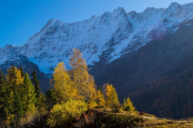 Paysage des Alpes suisses en automne