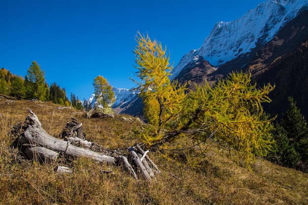 Paysage des Alpes suisses en automne