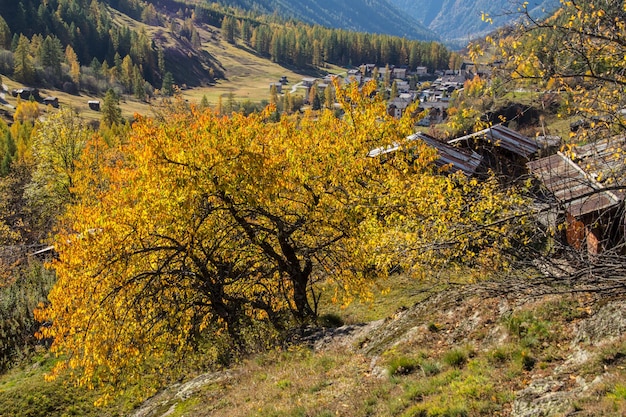 Paysage des Alpes suisses en automne