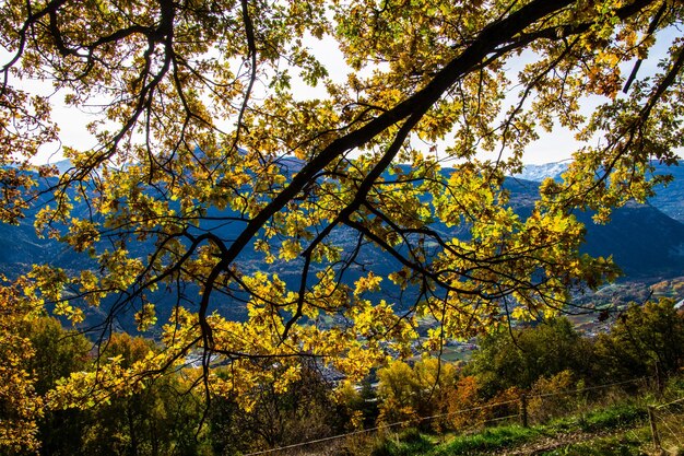 Paysage des Alpes suisses en automne