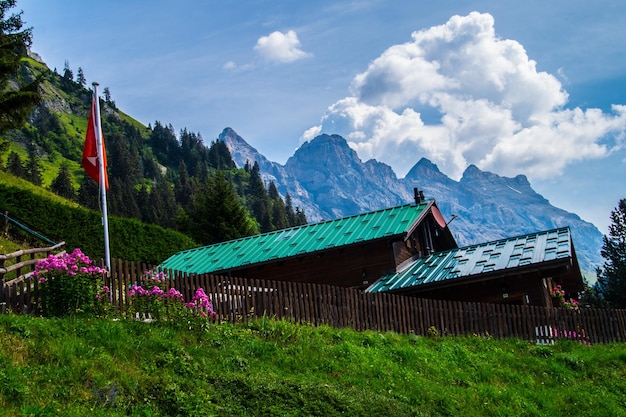 Paysage des Alpes suisses