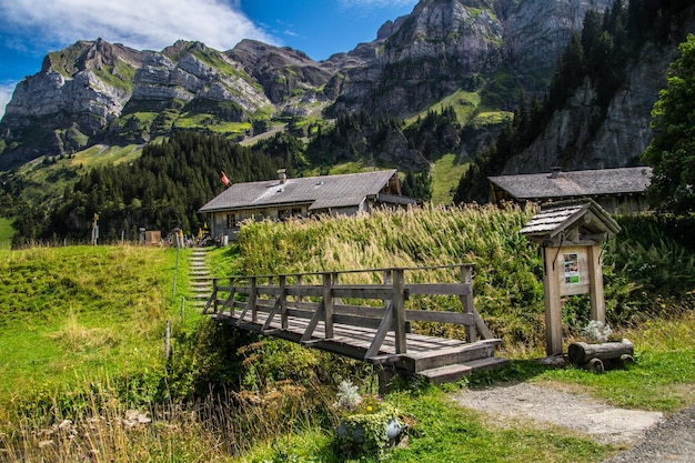 Paysage des Alpes suisses