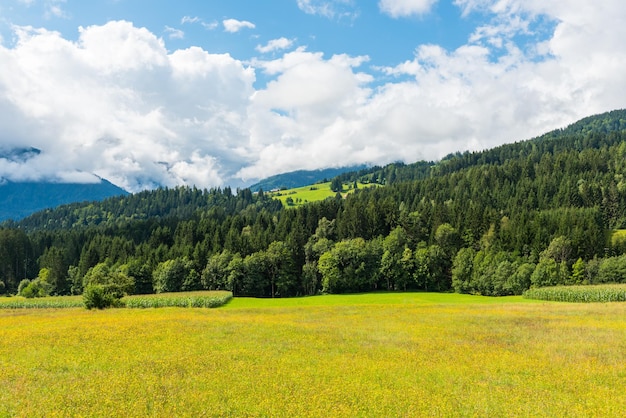 Paysage alpin avec un champ jaune et de beaux nuages sous les montagnes