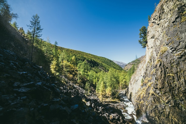 Paysage alpin pittoresque et ensoleillé avec rivière de montagne dans une vallée étroite et montagnes verdoyantes avec forêt de conifères de mélèzes sous ciel bleu. L'immensité de la montagne au soleil. Belle montagne verte.