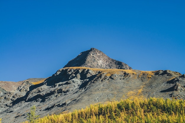 Paysage alpin pittoresque avec un pinacle rocheux pointu et une montagne enneigée au soleil en automne. Paysage de montagne hétéroclite avec montagne orange gris noir avec sommet pointu au soleil au-dessus de la forêt d'automne