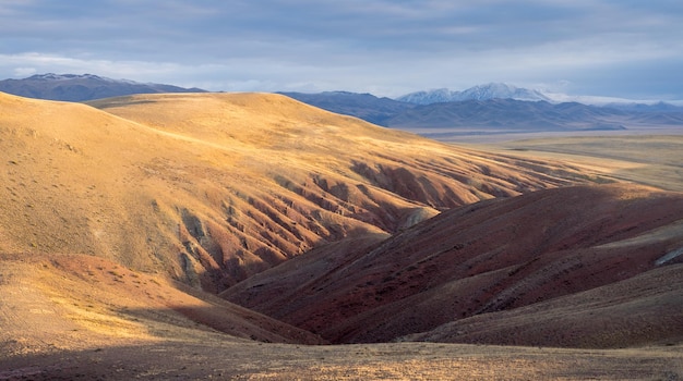 Paysage de l'Altaï en automne. Russie. Montagnes enneigées et vertes collines beiges