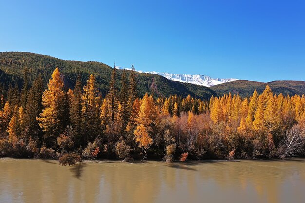 paysage altaï russie, vue de dessus d'automne, drone au-dessus de la forêt