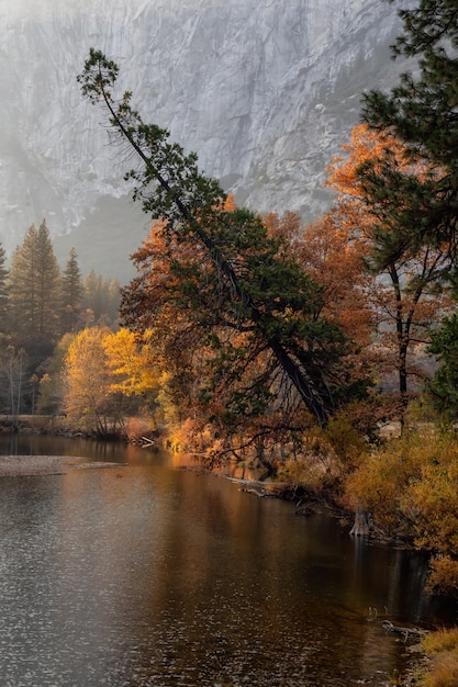 Paysage américain dans le parc national de Yosemite