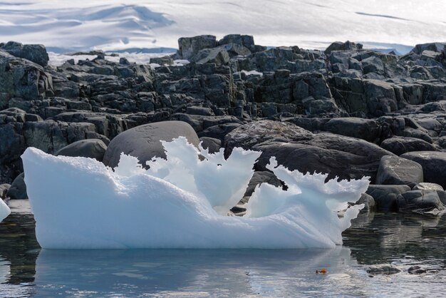 Photo paysage antarctique avec iceberg