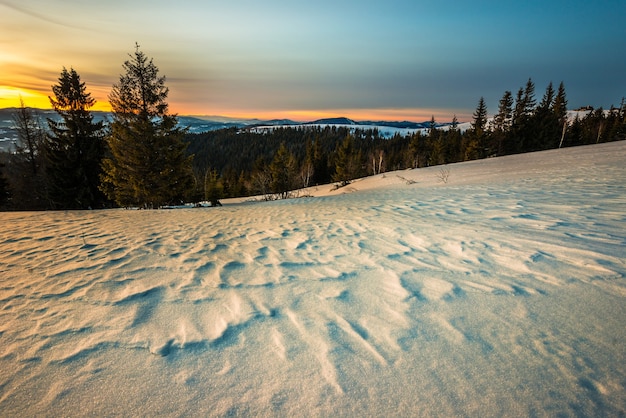 Paysage apaisant dans la vallée de montagne avec forêt d'épinettes et congères dans le contexte de pas de coucher de soleil et de ciel bleu avec des nuages