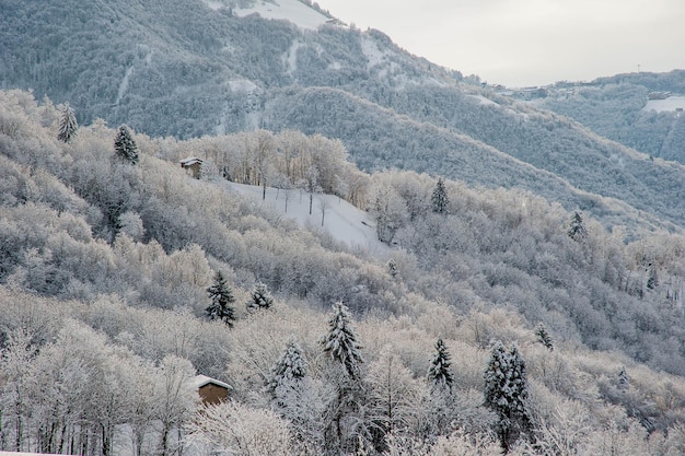 Paysage après chute de neige