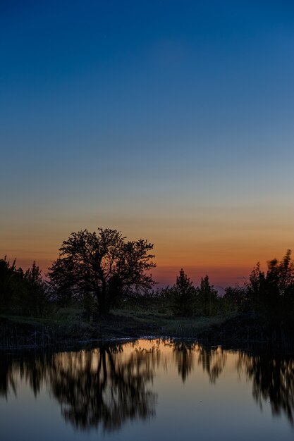 Paysage avec un arbre sur le lac après le coucher du soleil.