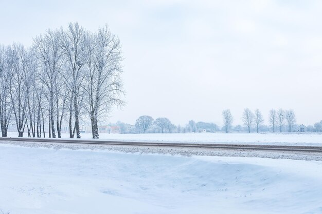 Paysage d'arbres enneigés le long de l'autoroute