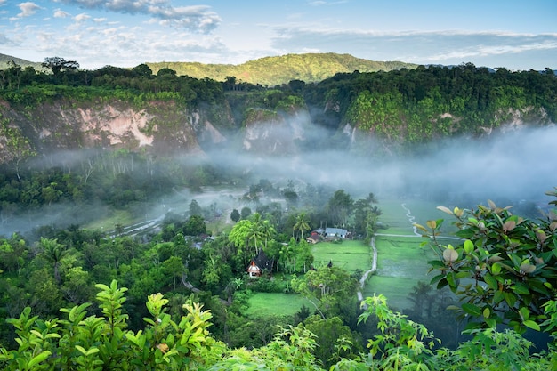 paysage avec arbres, montagne et nuages