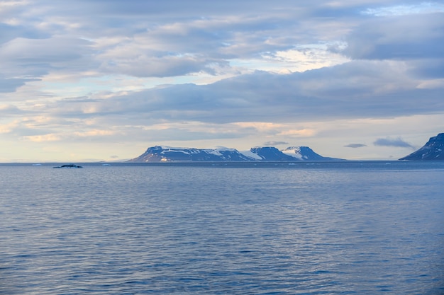 Paysage arctique en été. L'archipel de la Terre Franz Jozef. Cap Flora, île de Gukera. Rocher Rubini.