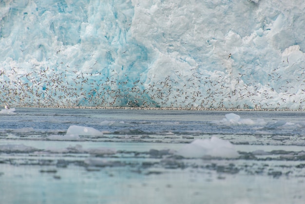 Paysage arctique