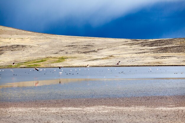 Paysage d'Arequipa Pérou