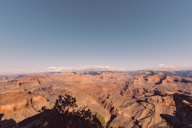 Paysage de l'Arizona du Grand Canyon