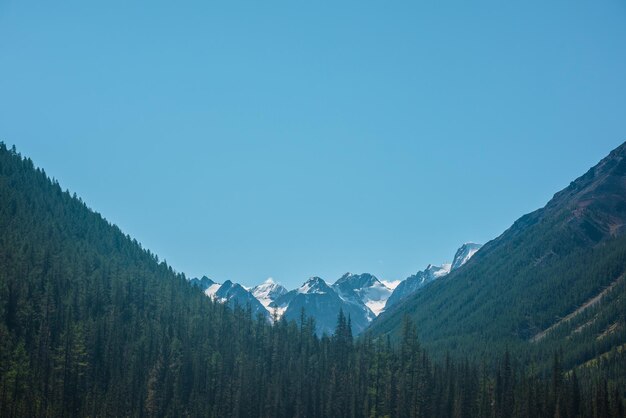 Paysage atmosphérique avec des conifères dans la vallée avec vue sur les grandes montagnes enneigées sous un soleil éclatant sous un ciel bleu clair Forêt luxuriante sur des pentes abruptes contre une haute chaîne de montagnes enneigées par temps ensoleillé