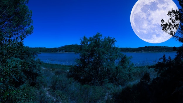 Paysage au bord du lac la nuit