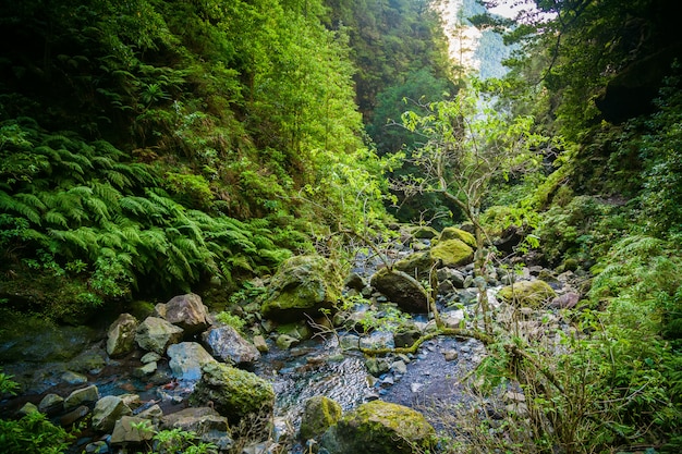 Paysage au bout de la levada