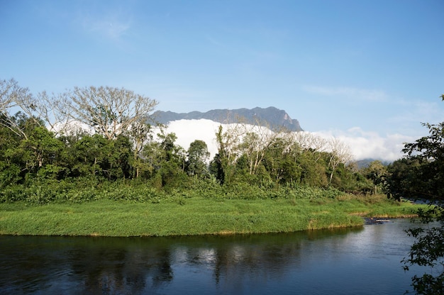 Paysage au Brésil avec la montagne Marumbi en arrière-plan