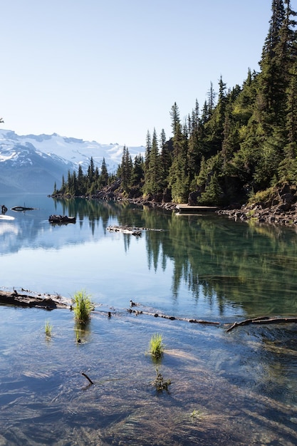 Paysage au lac Glacier dans les montagnes fond nature canadienne