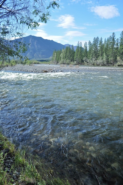 Paysage au nord de la rivière