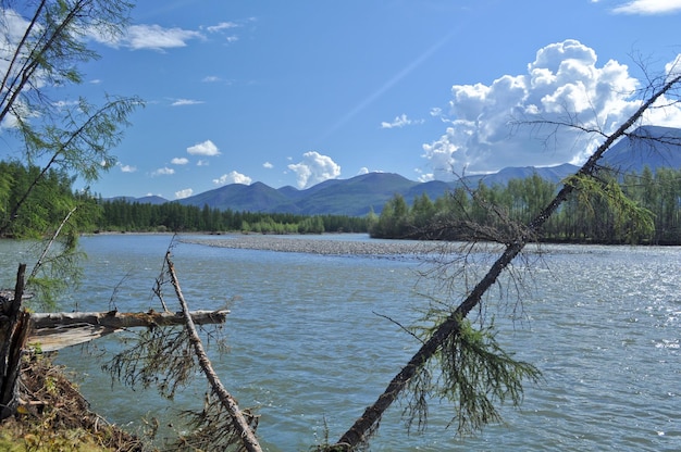 Paysage au nord de la rivière