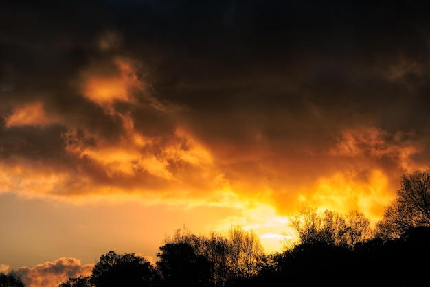 Paysage à l'aube avec des nuages.