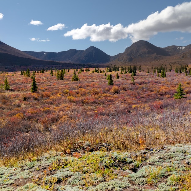 Paysage d'automne Alpine Tukon Canada