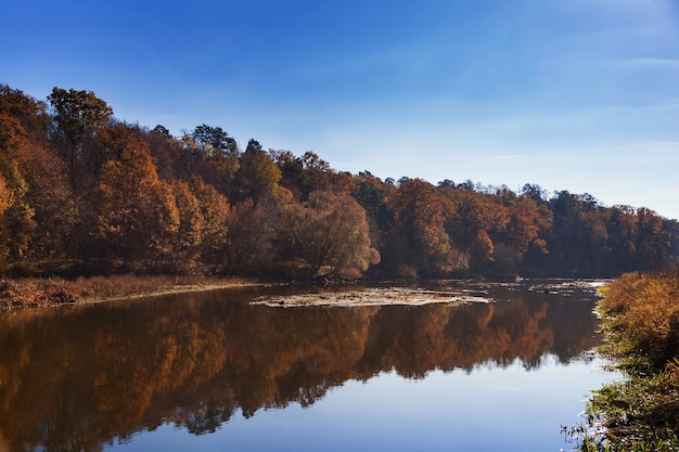 Paysage d'automne. Arbres le long d'une rivière calme avec reflet dans l'eau.