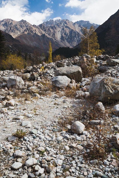 Paysage d'automne au-dessus du col de montagne, parc national Ala Arch, Kirghizistan.