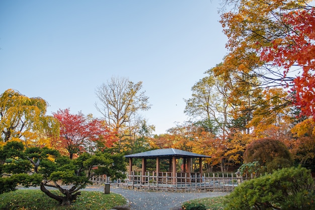 Paysage d&#39;automne au parc Nakajima, ville de Sapporo, Japon.