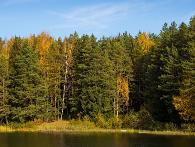 Paysage d'automne, beau lac d'automne par une journée ensoleillée