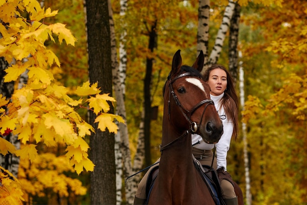 Paysage d'automne belle fille brune aux cheveux longs posant avec un cheval rouge dans la forêt