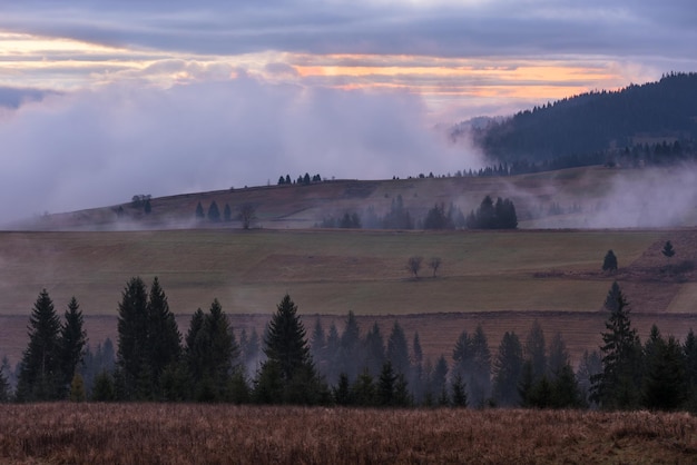 Paysage d'automne Brouillard du matin dans les montagnes Beauté dans la nature
