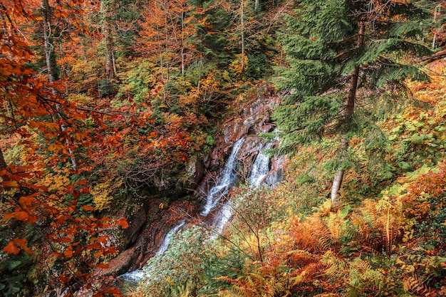 Paysage d'automne avec une cascade de forêt. Bel automne lumineux dans les montagnes du Caucase.