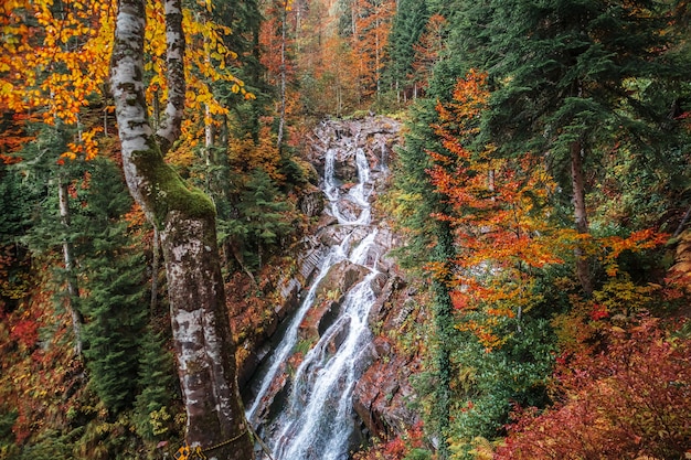 Paysage d'automne avec une cascade de forêt. Bel automne lumineux dans les montagnes du Caucase.