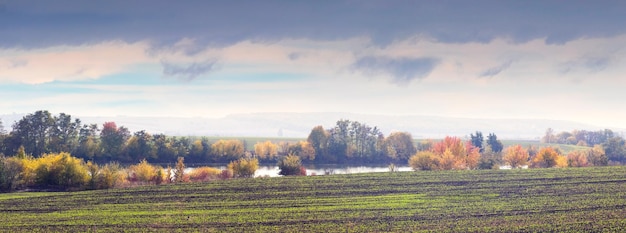 Photo paysage d'automne avec un champ près de la rivière des arbres colorés et un ciel nuageux