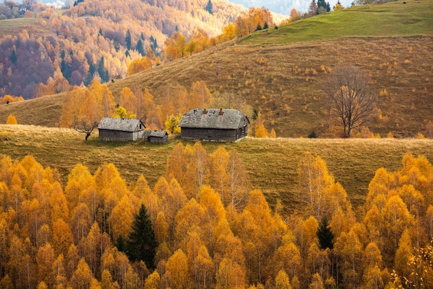 Paysage d'automne coloré dans le village de montagne. Matin brumeux dans les montagnes des Carpates à Rome